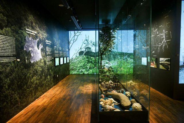 Tham quan Bảo tàng Sáp Bà Nà Hills, Đà Nẵng - Ảnh sưu tầm