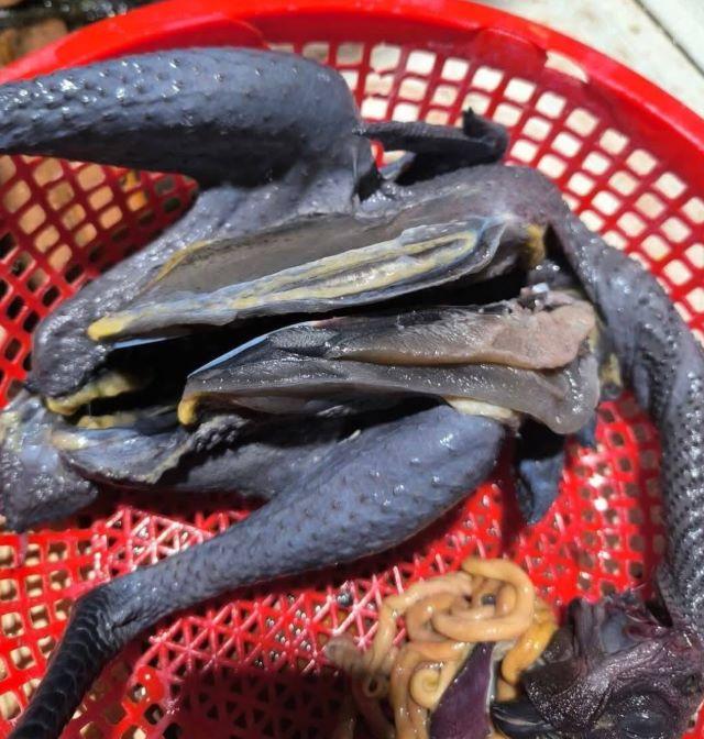 Gà đen nướng mật ong, đặc sản vùng Tây Bắc - Ảnh từ Thiên Phúc