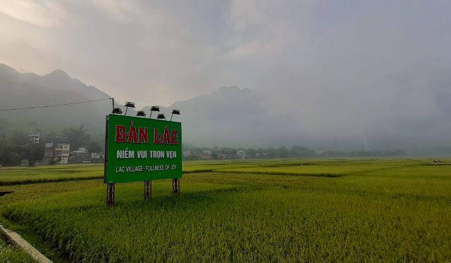 Bản Lác mỗi mùa đều mang một vẻ đẹp riêng, nên bạn có thể đến khám phá vào bất kì mùa nào - Ảnh sưu tầm