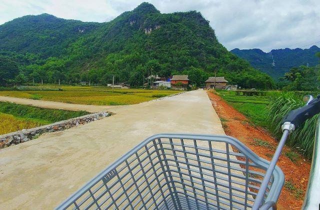 Đạp xe thong dong giữa cánh đồng Bản Lác - Ảnh từ hiền bùi
