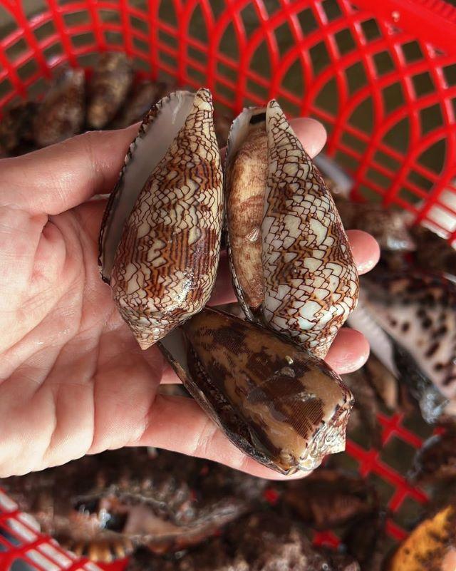 Hải sản tươi sống ở Bình Ba Nha Trang - Ảnh từ Uyen Pham