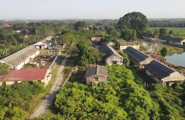 Trại ngựa Bá Vân