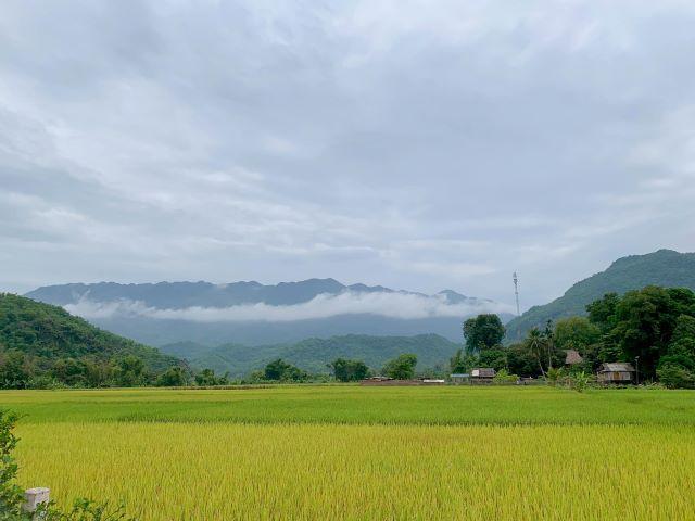 Mai Châu – Viên ngọc xanh giữa lòng Tây Bắc - Ảnh từ Nguyễn Huỳnh Đức