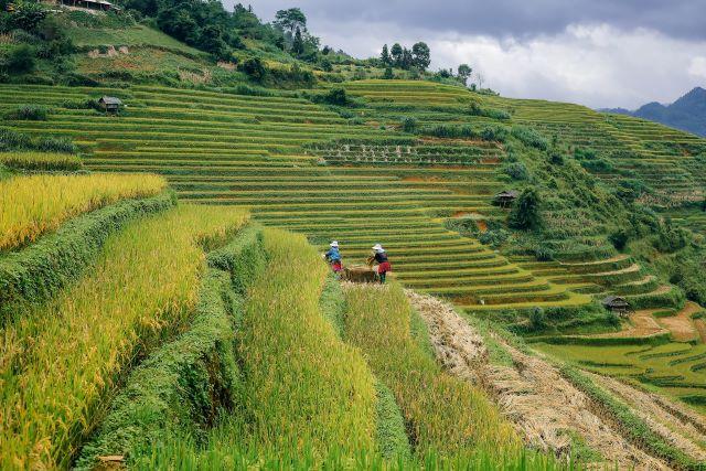 Chiêm ngưỡng những thửa ruộng bậc thang xinh đẹp - Ảnh từ Phạm Tú
