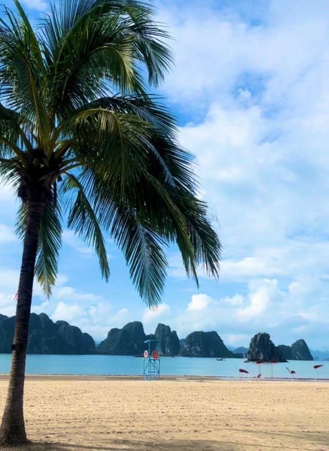 Vịnh Bái Tử Long - Ảnh sưu tầm