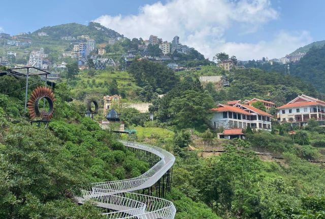 Check in cầu mây Tam Đảo - Ảnh sưu tầm