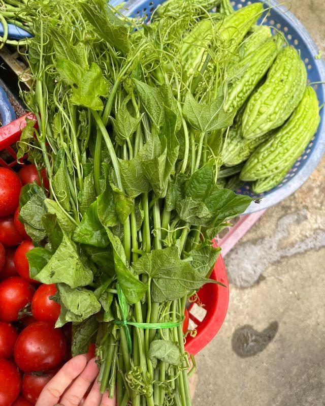 Thưởng thức các món ăn từ ngọn su su khi đi Tam Đảo - Ảnh từ Kún Em