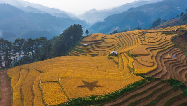 Mù Cang Chải mùa lúa chín - Ảnh từ Hoàng Dưỡng