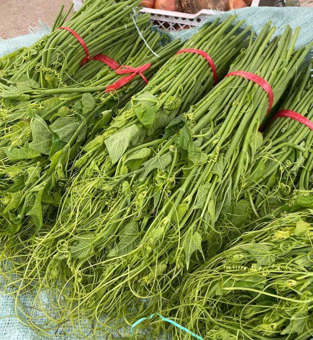 Rau su su, đặc sản Tam Đảo - Ảnh từ Huyền Ngốc Nghếch