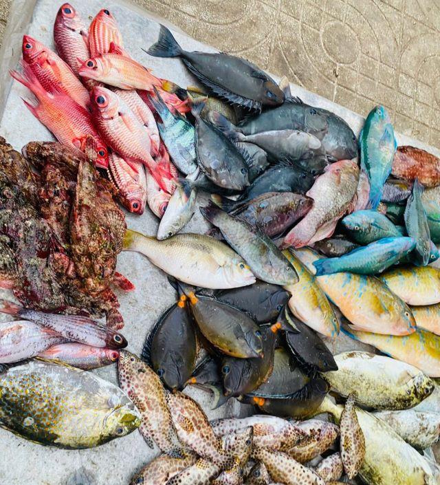 Hải sản tươi sống ở Lý Sơn - Ảnh từ Tram Anh Pham Vo