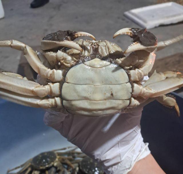 Cua đá Yên Dũng - Ảnh từ Gia Hân