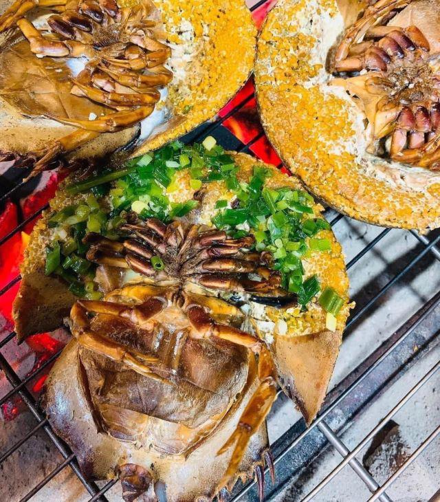 Các món từ sam biển ở Cát Bà - Ảnh sưu tầm