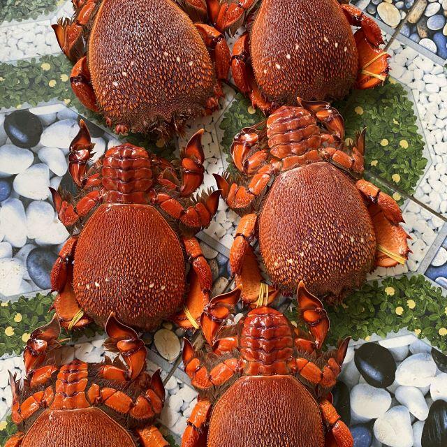 Cua Huỳnh Đế Phú Quý - Ảnh sưu tầm