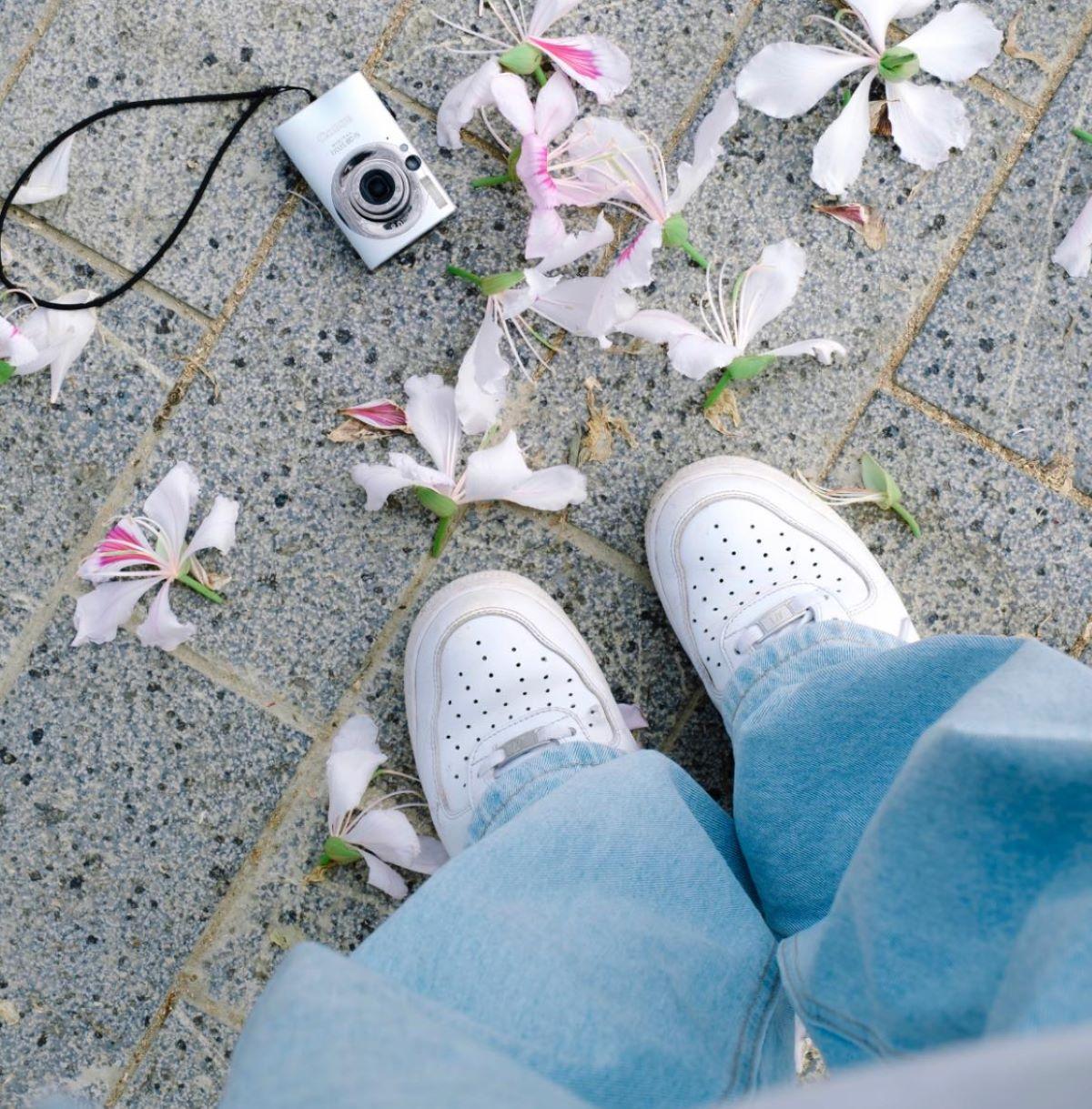 Du lịch Điện Biên: Cẩm nang du lịch từ A-Z