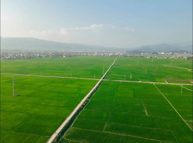 Cánh đồng Mường Thanh đẹp biết bao - Ảnh từ Blog của Rọt