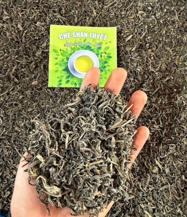 Chè Tuyết Shan Tủa Chùa - Ảnh từ Phượng Ớt