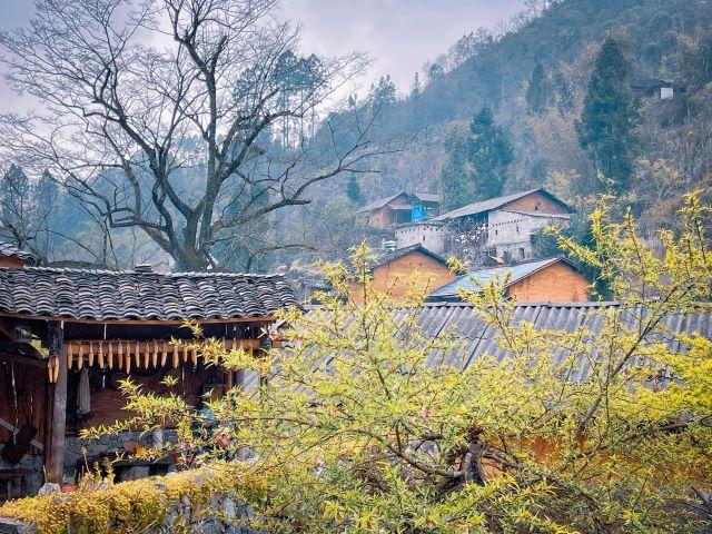 Hà Giang - mảnh đất nơi đá cũng nở hoa - Ảnh từ Định Đặng