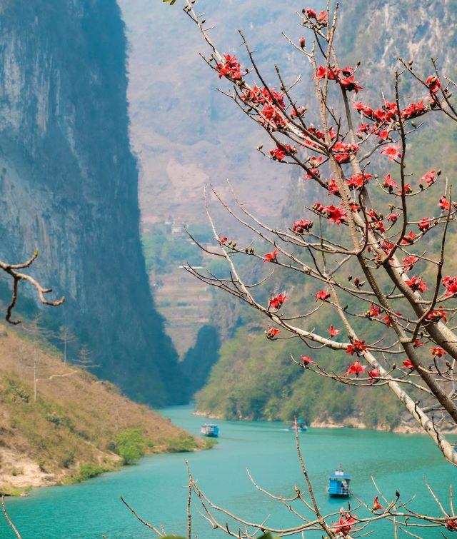 Trải nghiệm đi thuyền, chèo thuyền trên Sông Nho Quế - Ảnh sưu tầm