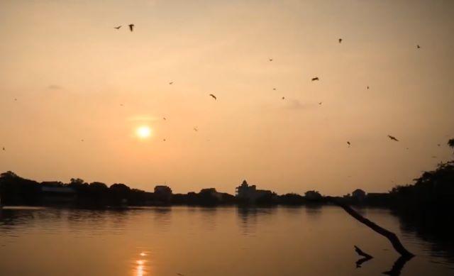 Hoàng hôn trên Đảo Cò Chi Lăng Nam - Ảnh sưu tầm