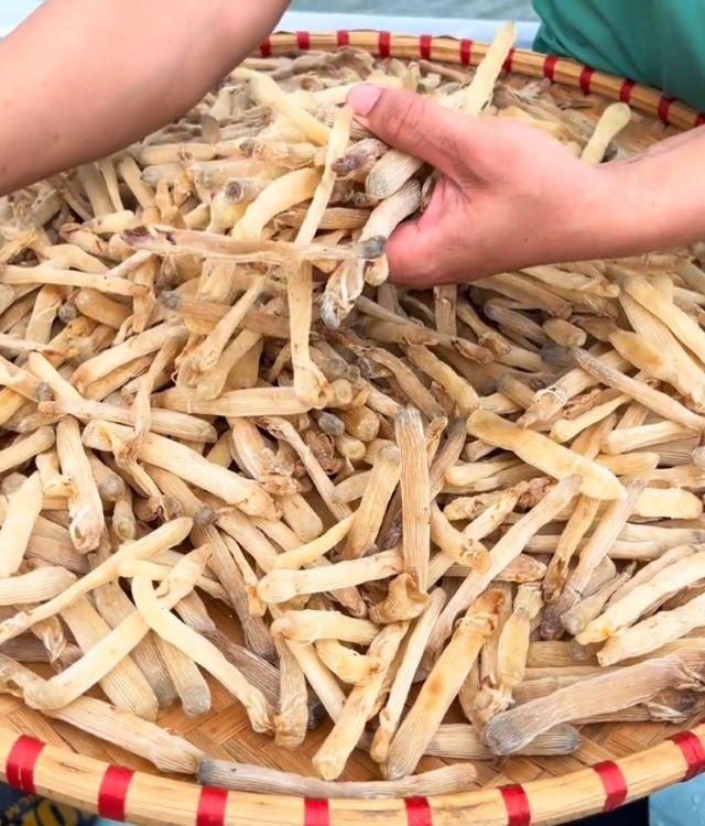 Sá sùng khô - Ảnh từ sanhhaisan