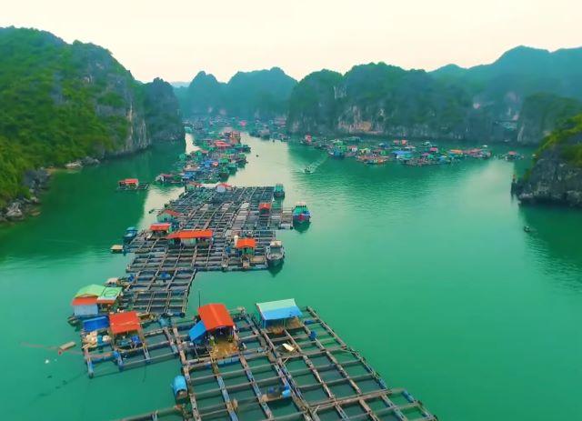 Vịnh Lan Hạ Hải Phòng - Ảnh sưu tầm