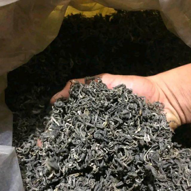 Chè shan tuyết Tân Uyên - Ảnh sưu tầm