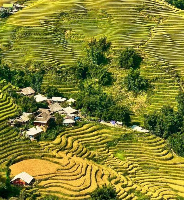 Khám phá cánh đồng Mường Than, Than Uyên - Ảnh từ Vàng Huệ