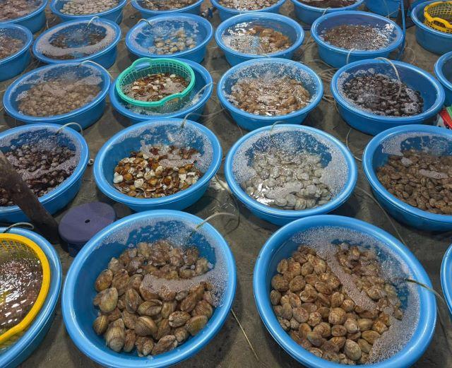 Hải sản tươi sống Phan Thiết tươi số 1 - Ảnh từ Lê Thị Hiếu