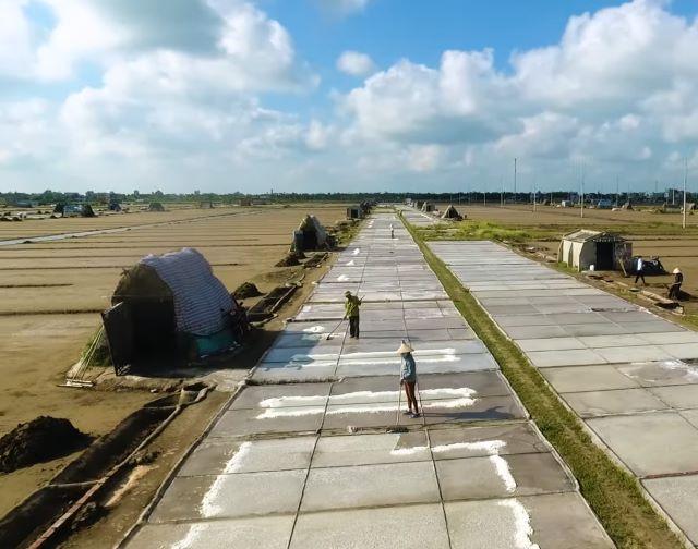 Cánh đồng muối Bạch Long Nam Định - Ảnh sưu tầm
