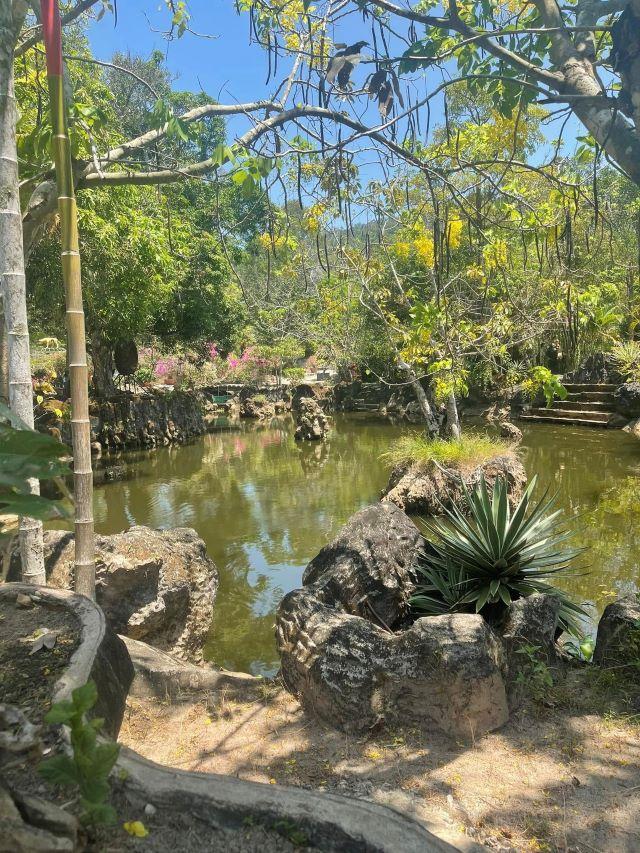 Suối Tranh Phú Quốc - Ảnh từ Từ Thiện Thành Phát