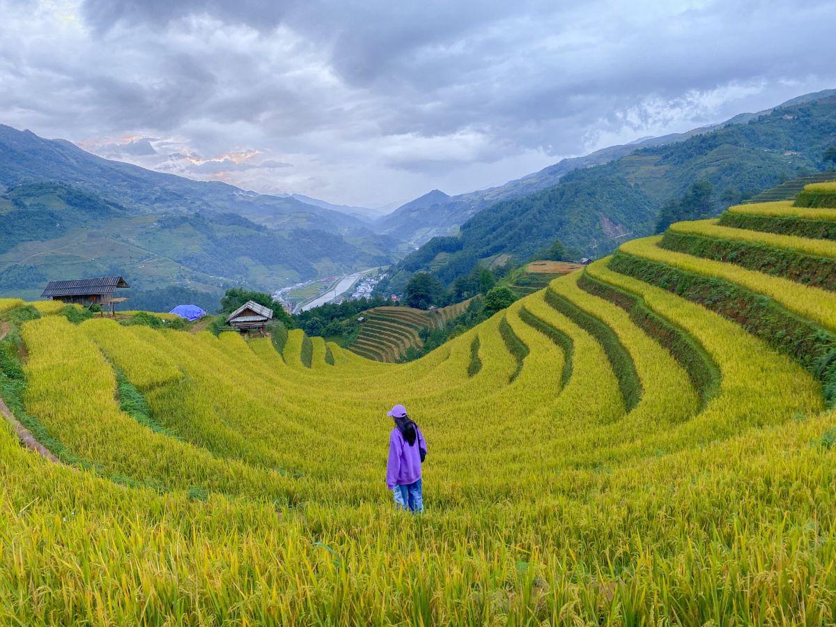 Du lịch Sơn La: Cẩm nang khám phá chi tiết