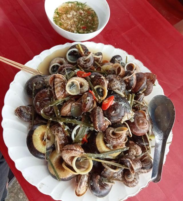 Ốc núi Ninh Bình - Ảnh từ Vũ Hải