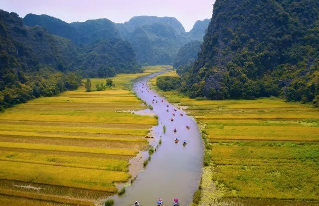 Tam Cốc – Bích Động đầy sắc vàng mùa lúa chín - Ảnh sưu tầm