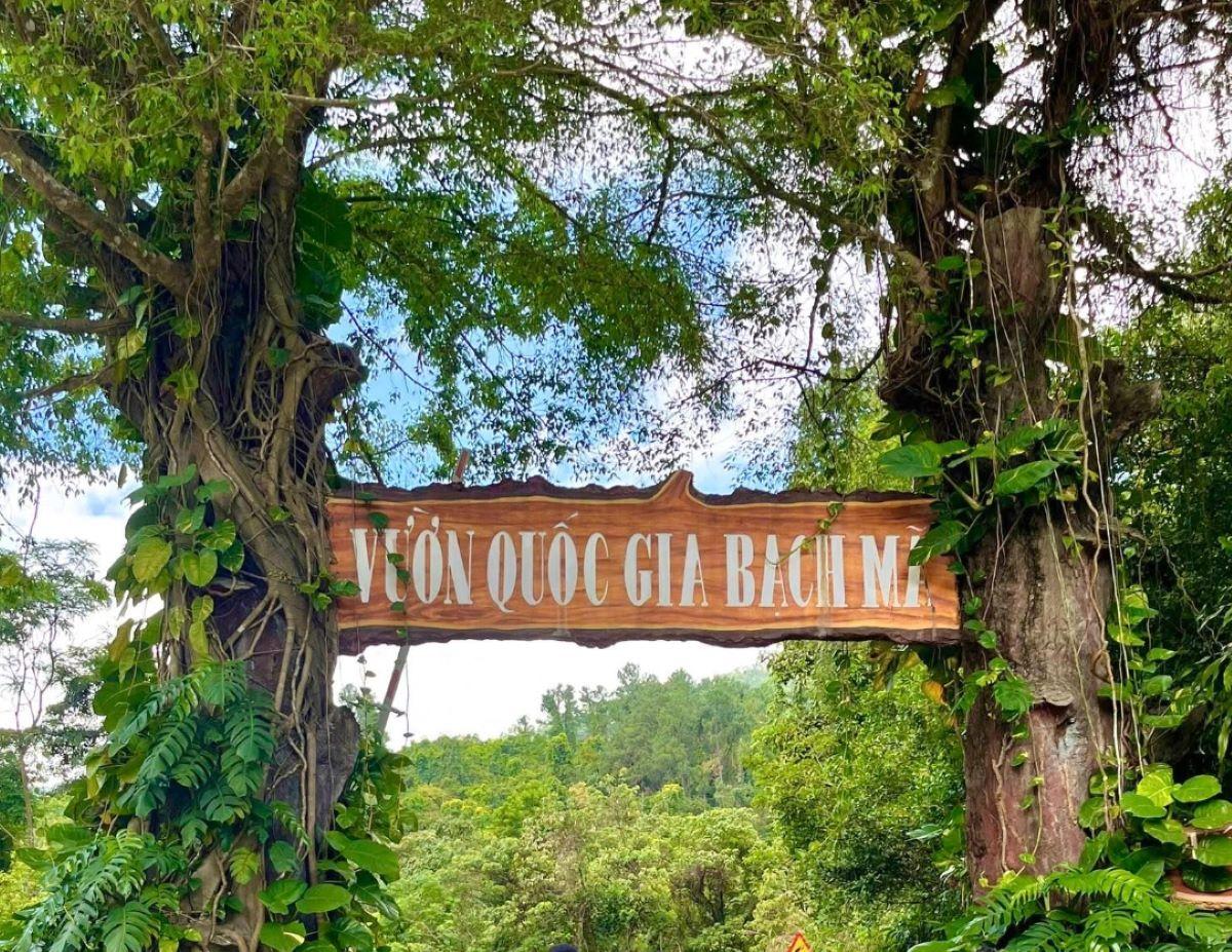 Du lịch Vườn quốc gia Bạch Mã - Nơi chữa lành đúng nghĩa tại Huế