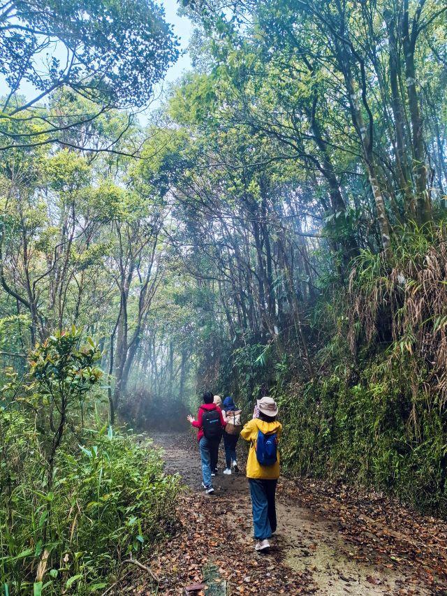 Rừng nguyên sinh và những con đường mòn - Ảnh từ Đặng Sĩ Nguyên