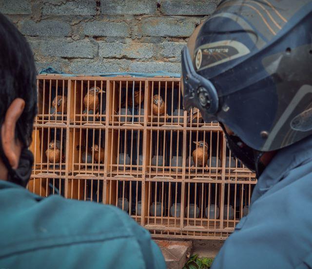 Khám phá chợ gia súc, chợ chim khi đến chợ phiên Bắc Hà - Ảnh từ Phạm Xuân Quý