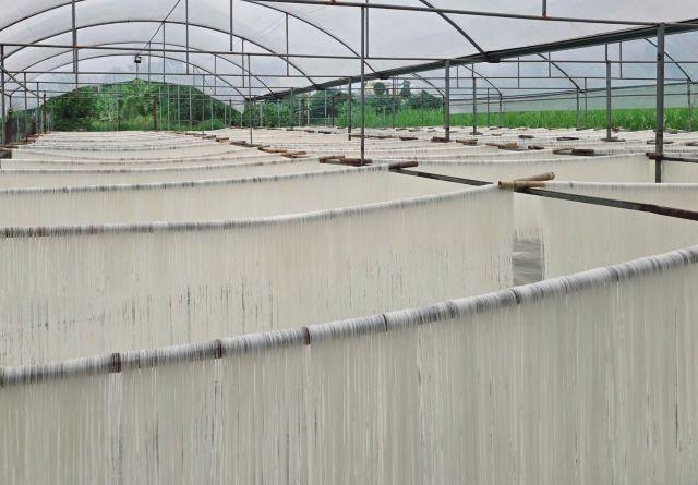 Mì gạo Hùng Lô - Ảnh sưu tầm