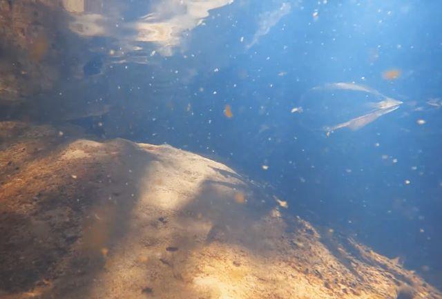 Các con suối trong veo chảy qua các khe núi - Ảnh sưu tầm