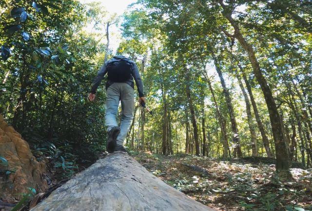 Lưu ý khi tham gia vườn quốc gia Phú Quốc - Ảnh sưu tầm