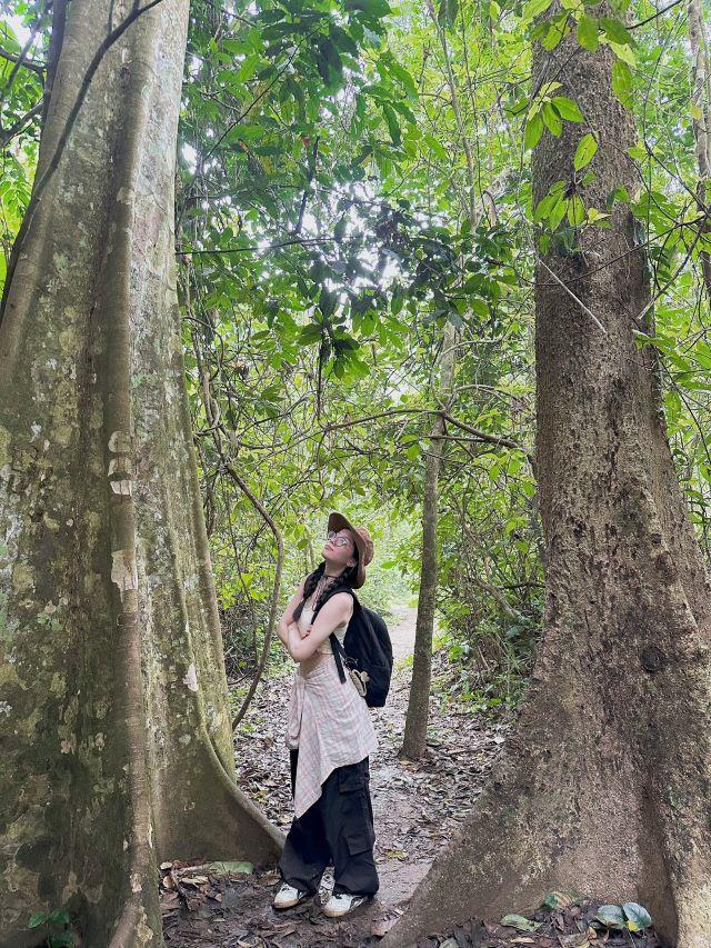 Check in đường rừng ở Vườn quốc gia Cúc Phương - Ảnh từ Nguyễn Thị Tâm Phương