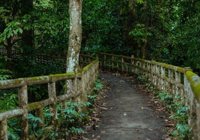 Con đường đến Động Người Xưa - Ảnh từ Nguyễn Hồng Sơn