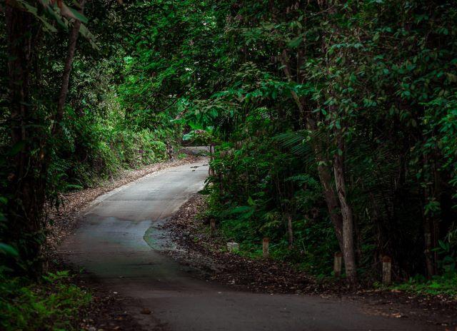 Mỗi mùa mang mỗi vẻ đẹp riêng, nên bạn có thể đến tham quan Cúc Phương mọi thời điểm - Ảnh từ Nguyễn Hồng Sơn
