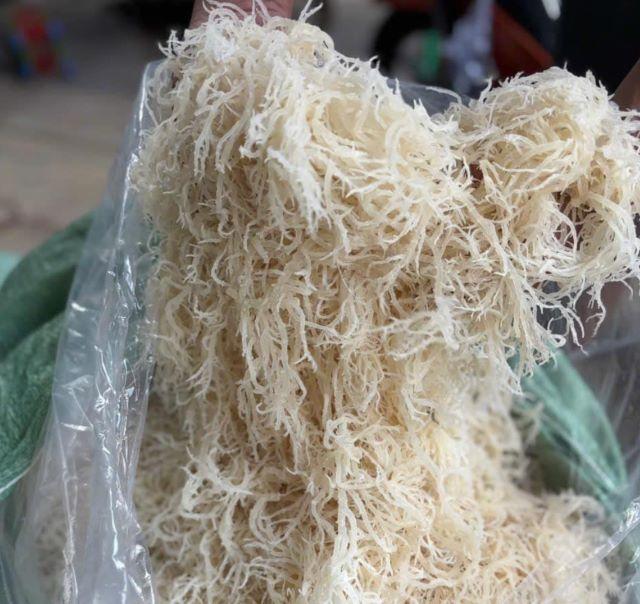 Rong sụn biển khô - Ảnh từ Thảo Phạm