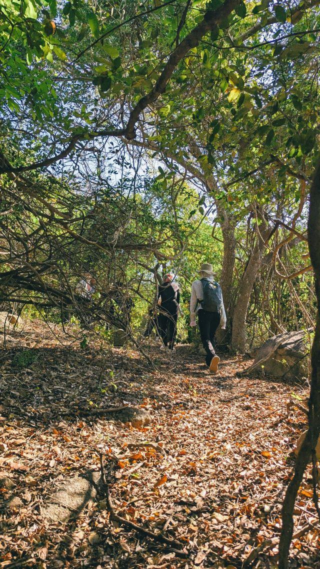 Trải nghiệm trekking trong rừng Núi Chúa - Ảnh từ Vu Dat