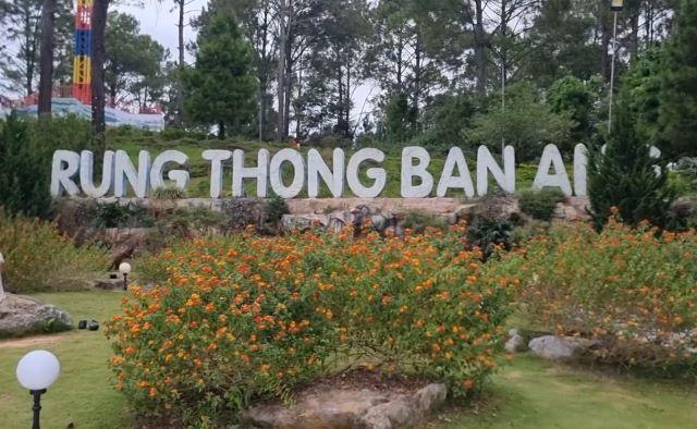 Khám phá Rừng thông bản Áng Mộc Châu - Ảnh sưu tầm