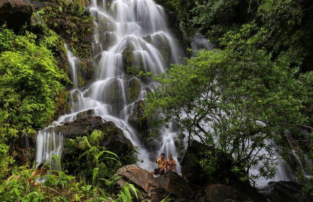 Vườn Thực Vật Phong Nha - Ảnh sưu tầm