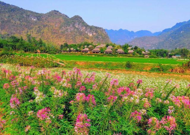 Mai Châu (Hòa Bình)