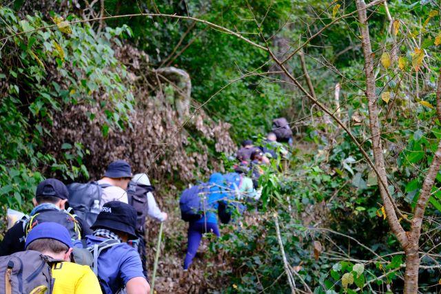 Trekking xuyên rừng tại VQG Bidoup Núi Bà - Ảnh sưu tầm