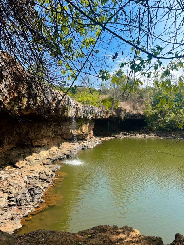 Vườn quốc gia Bù Gia Mập - Viên ngọc xanh giữa lòng Đông Nam Bộ - Ảnh từ Mai Nguyễn Hoàng