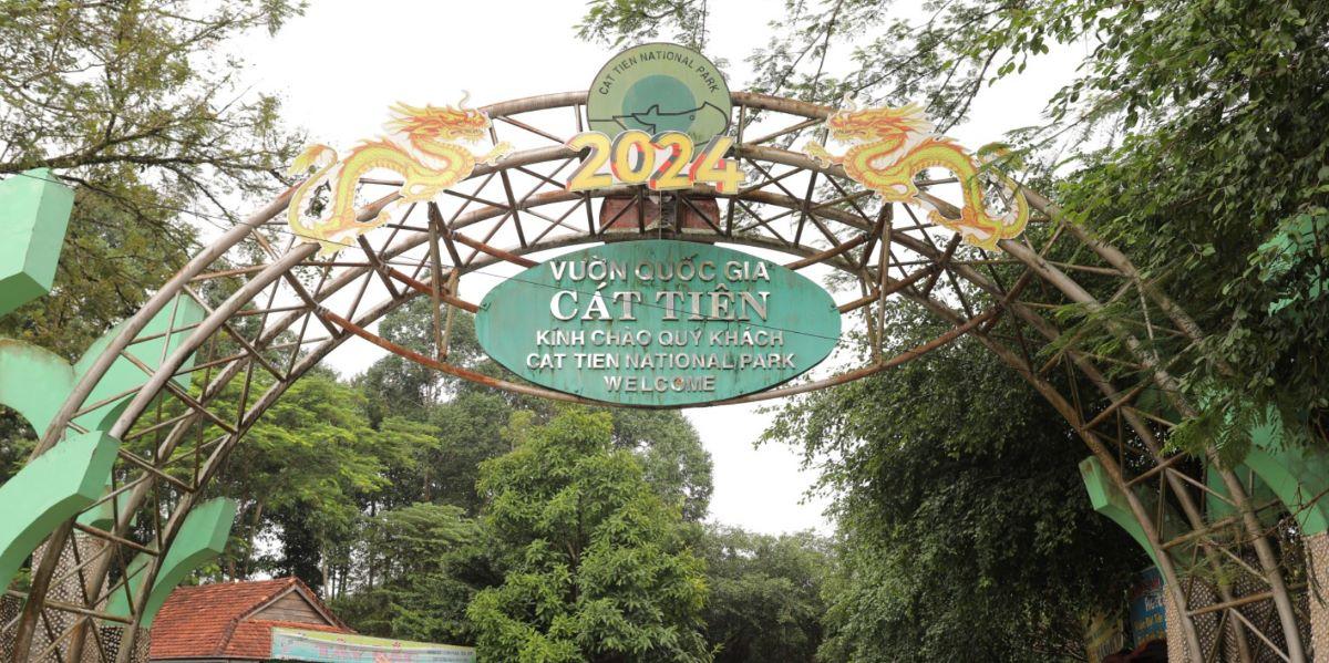 Vườn quốc gia Cát Tiên: Cẩm nang du lịch chi tiết từ A- Z